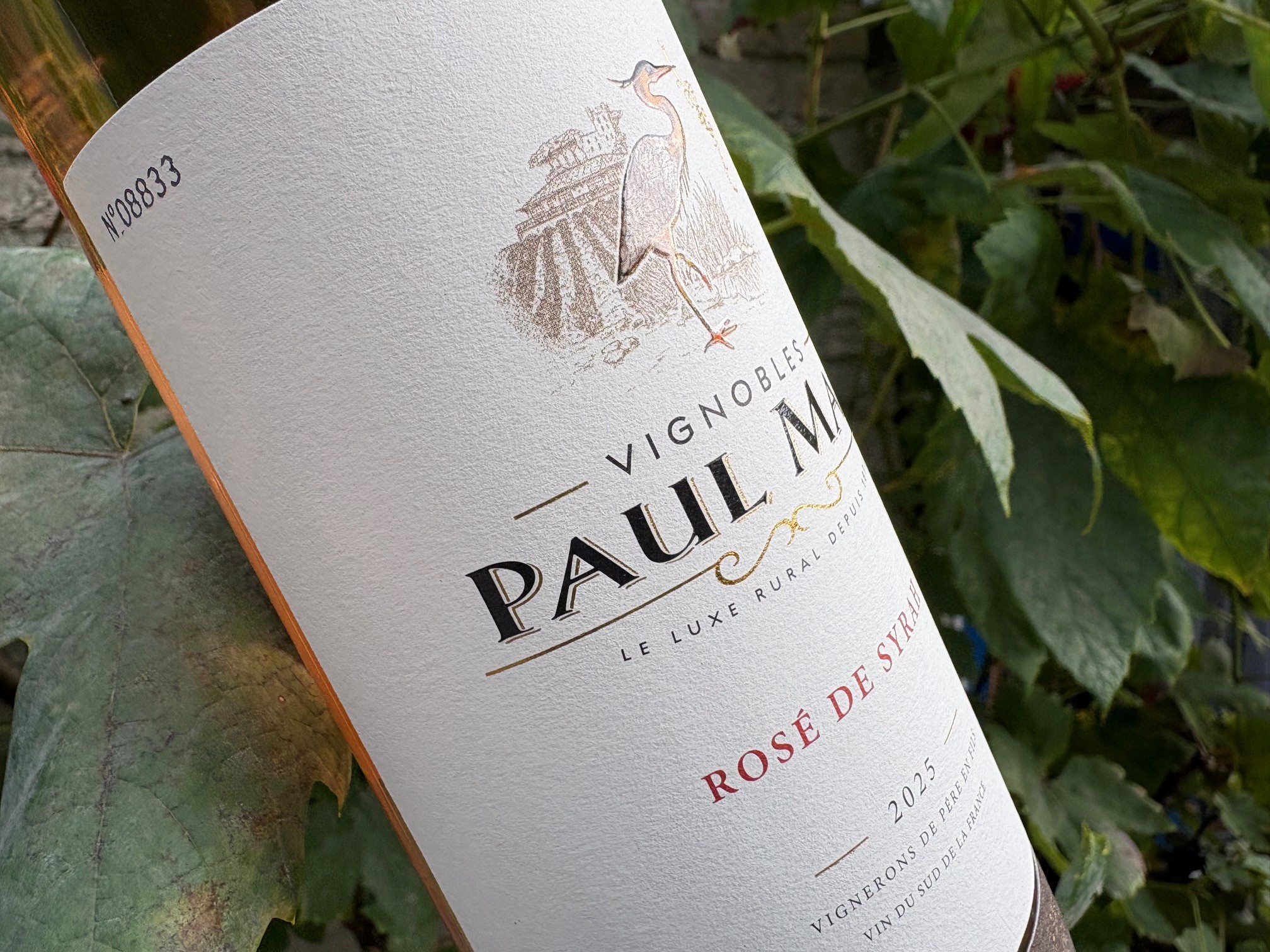 ACTIE NU VAN 7,45 VOOR 5,50 BIJ 12 FLESSEN Paul Mas Cépage Syrah Rosé Genummerd Franse Lichte Vriendelijke Fruitige Droge Rosé Lichte kleur. Sit down in the sun and watch the people go by. Goed t/m 2027 - Afbeelding 4